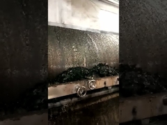 Sécheur à rouleaux pour acide humique